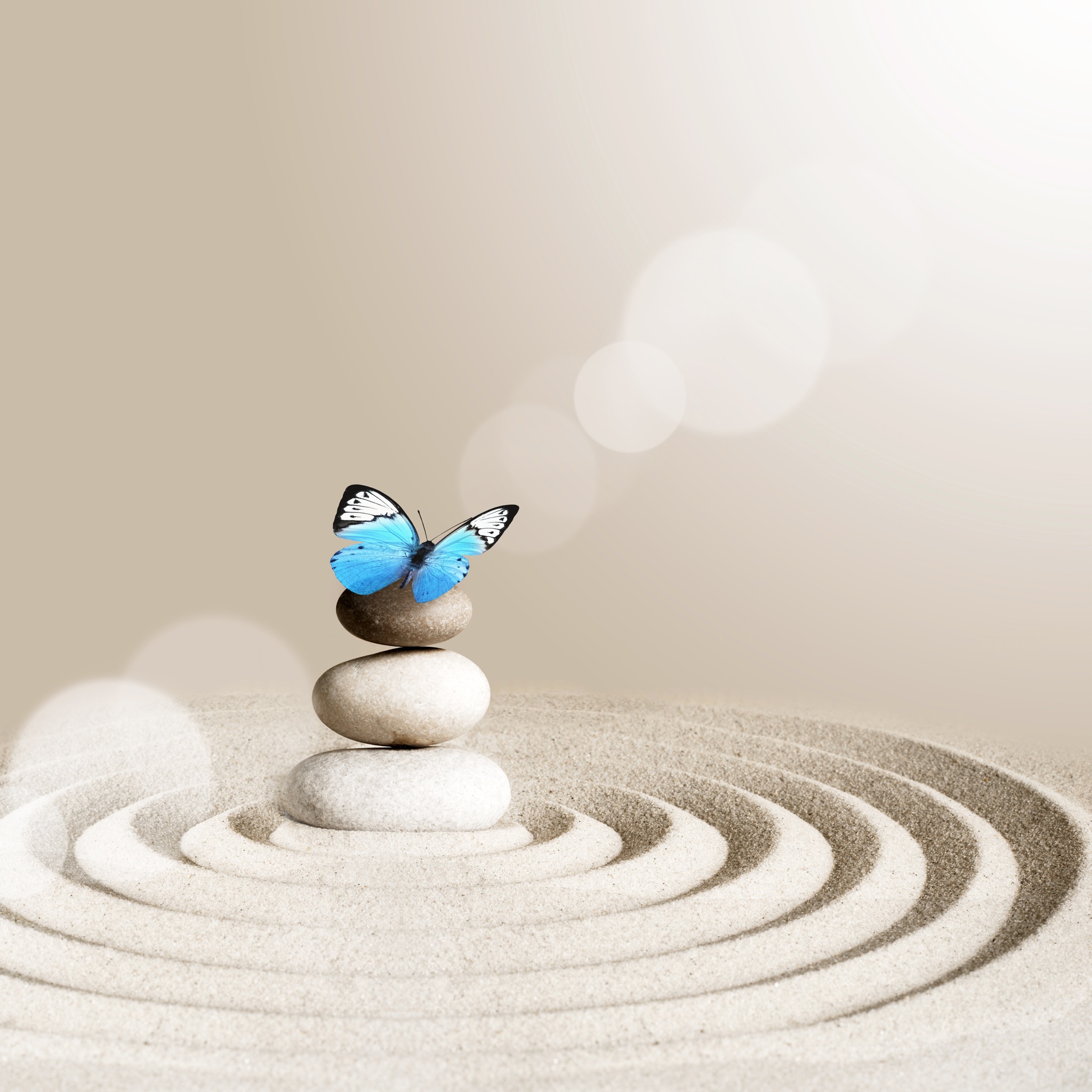 zen graphic of circles in sand with a butterfly in the center